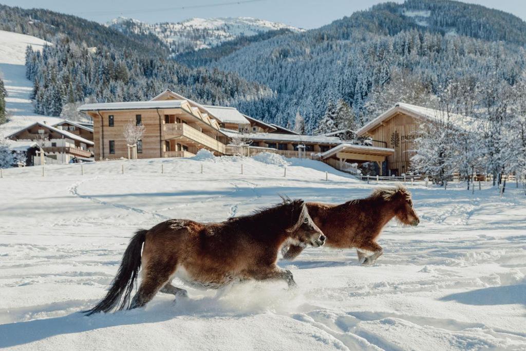 Mariengut - Natur Aparthotel Kramer Wagrain Dış mekan fotoğraf