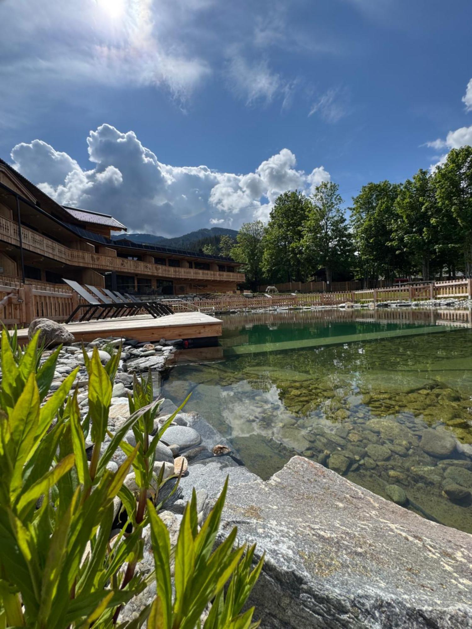Mariengut - Natur Aparthotel Kramer Wagrain Dış mekan fotoğraf